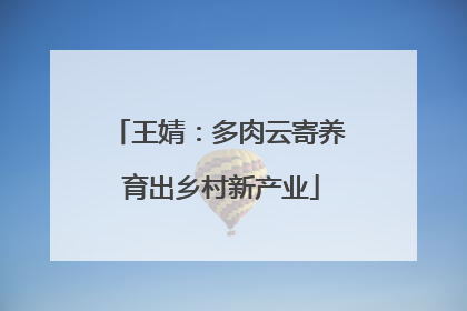 王婧：多肉云寄养 育出乡村新产业