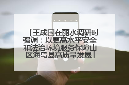 王成国在丽水调研时强调：以更高水平安全和法治环境服务保障山区海岛县高质量发展