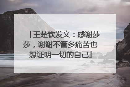 王楚钦发文：感谢莎莎，谢谢不管多痛苦也想证明一切的自己