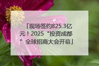 现场签约825.3亿元！2025“投资成都”全球招商大会开幕