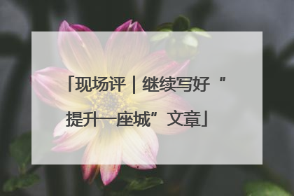 现场评｜继续写好“提升一座城”文章