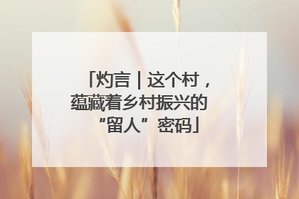 灼言｜这个村，蕴藏着乡村振兴的“留人”密码