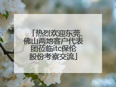 热烈欢迎东莞、佛山两地客户代表团莅临itc保伦股份考察交流