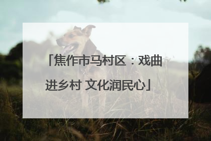 焦作市马村区：戏曲进乡村 文化润民心