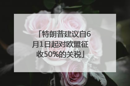 特朗普建议自6月1日起对欧盟征收50%的关税