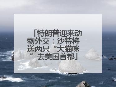 特朗普迎来动物外交：沙特将送两只“大猫咪”去美国首都