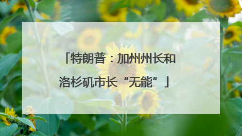 特朗普：加州州长和洛杉矶市长“无能”