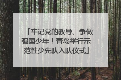 牢记党的教导、争做强国少年!青岛举行示范性少先队入队仪式