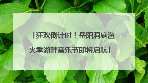 狂欢倒计时！岳阳洞庭渔火季湖畔音乐节即将启航