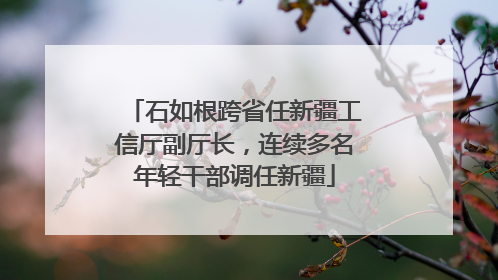 石如根跨省任新疆工信厅副厅长，连续多名年轻干部调任新疆