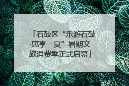 石鼓区“乐游石鼓·惠享一夏”暑期文旅消费季正式启幕
