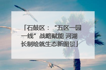 石鼓区：“五区一园一线”战略赋能 河湖长制绘就生态新图景