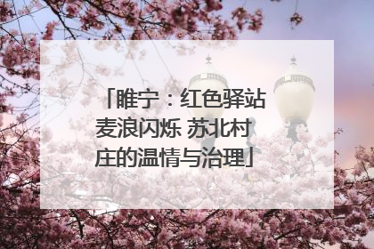 睢宁：红色驿站麦浪闪烁 苏北村庄的温情与治理