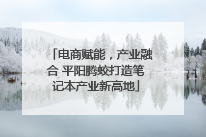 电商赋能，产业融合 平阳腾蛟打造笔记本产业新高地