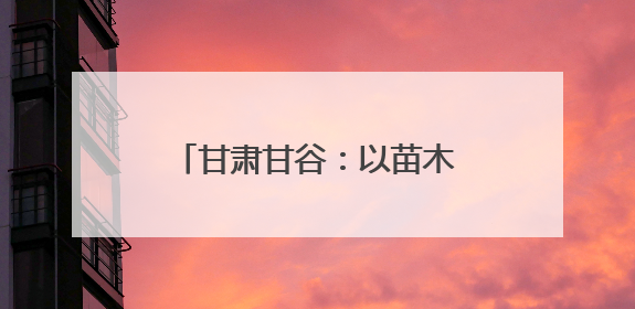 甘肃甘谷：以苗木繁育为支点 撬动花牛苹果产业新发展
