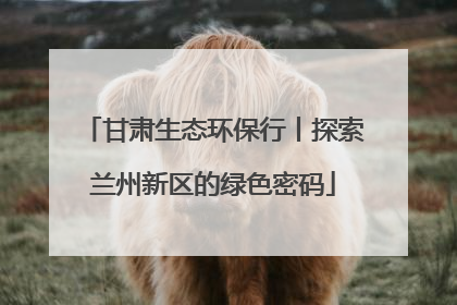 甘肃生态环保行丨探索兰州新区的绿色密码