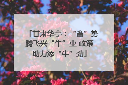 甘肃华亭：“畜”势腾飞兴“牛”业 政策助力添“牛”劲