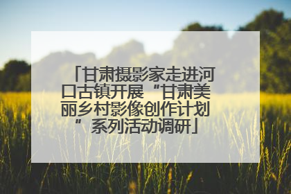甘肃摄影家走进河口古镇开展“甘肃美丽乡村影像创作计划”系列活动调研