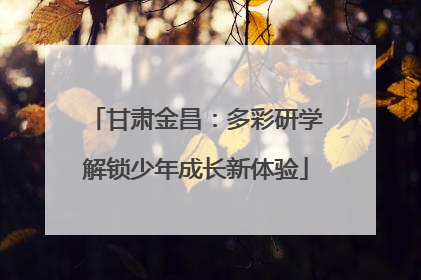 甘肃金昌：多彩研学解锁少年成长新体验