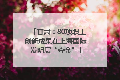 甘肃：80项职工创新成果在上海国际发明展“夺金”