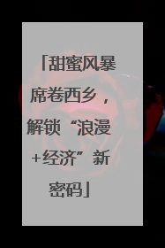 甜蜜风暴席卷西乡，解锁“浪漫+经济”新密码