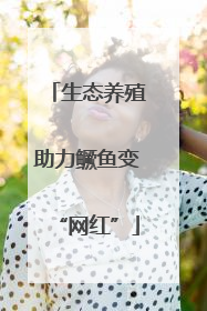生态养殖助力鳜鱼变“网红”