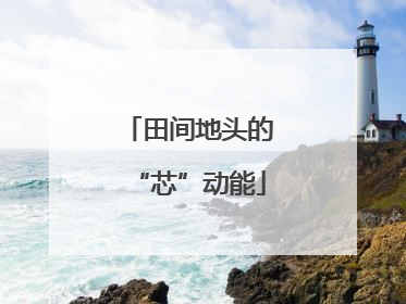 田间地头的“芯”动能