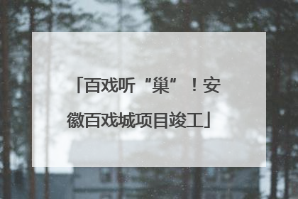 百戏听“巢”！安徽百戏城项目竣工