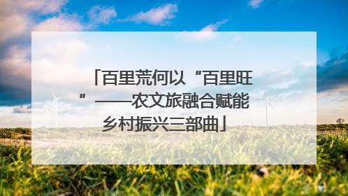 百里荒何以“百里旺”——农文旅融合赋能乡村振兴三部曲