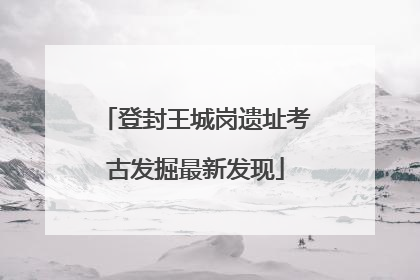 登封王城岗遗址考古发掘最新发现