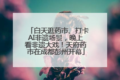 白天逛药市、打卡AI非遗场景，晚上看非遗大戏！天府药市在成都彭州开幕