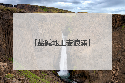 盐碱地上麦浪涌