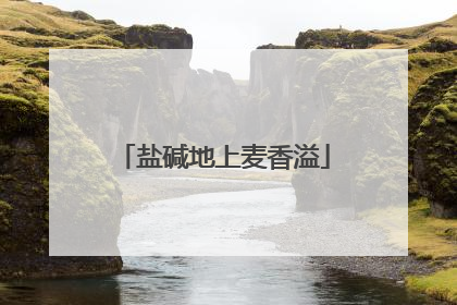 盐碱地上麦香溢