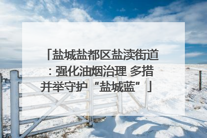 盐城盐都区盐渎街道：强化油烟治理 多措并举守护“盐城蓝”