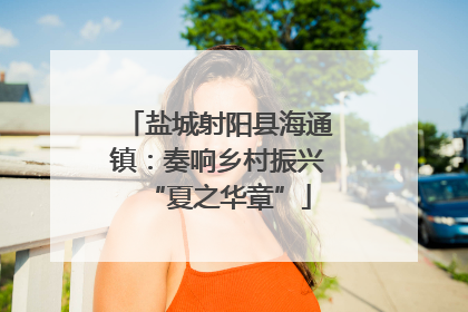 盐城射阳县海通镇：奏响乡村振兴“夏之华章”