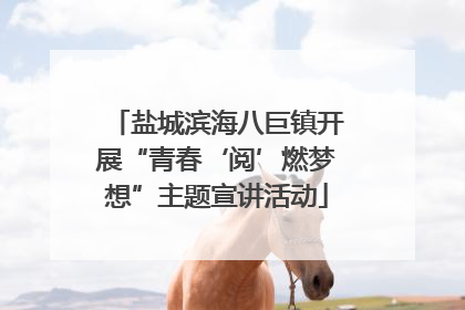 盐城滨海八巨镇开展“青春‘阅’燃梦想”主题宣讲活动