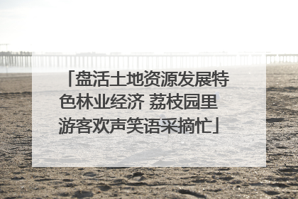 盘活土地资源发展特色林业经济 荔枝园里游客欢声笑语采摘忙