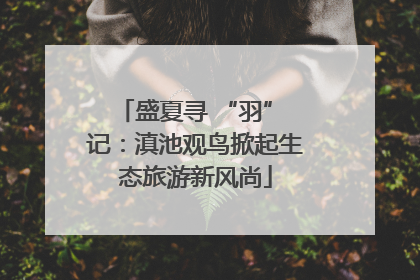 盛夏寻 “羽” 记：滇池观鸟掀起生态旅游新风尚