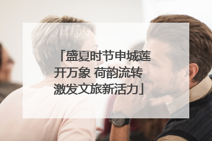 盛夏时节申城莲开万象 荷韵流转激发文旅新活力