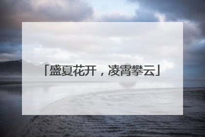 盛夏花开，凌霄攀云