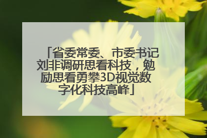 省委常委、市委书记刘非调研思看科技，勉励思看勇攀3D视觉数字化科技高峰
