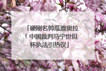 硬刚名帅瓜迪奥拉！中国裁判马宁世俱杯执法引热议