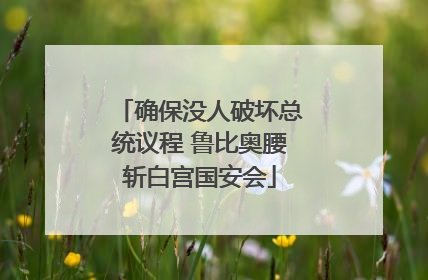 确保没人破坏总统议程 鲁比奥腰斩白宫国安会
