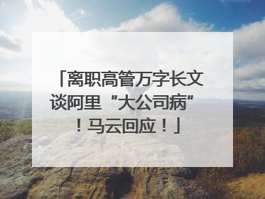 离职高管万字长文谈阿里“大公司病”！马云回应！