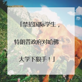 禁招国际学生，特朗普政府对哈佛大学下狠手！