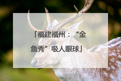 福建福州：“金鱼秀”吸人眼球
