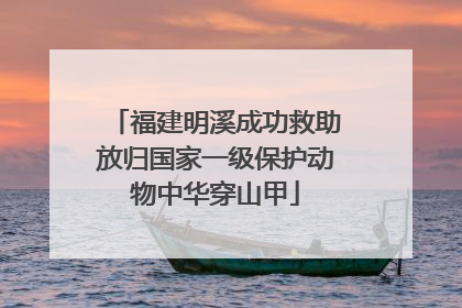 福建明溪成功救助放归国家一级保护动物中华穿山甲