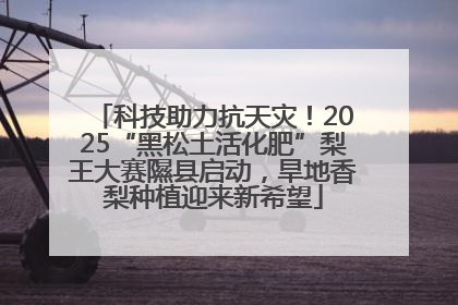 科技助力抗天灾！2025“黑松土活化肥”梨王大赛隰县启动，旱地香梨种植迎来新希望
