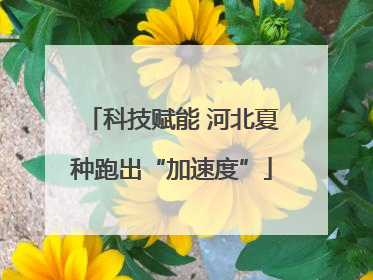 科技赋能 河北夏种跑出“加速度”