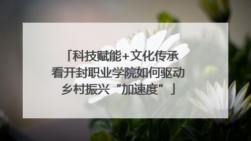 科技赋能+文化传承 看开封职业学院如何驱动乡村振兴“加速度”